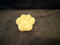 Pawfect wash bar